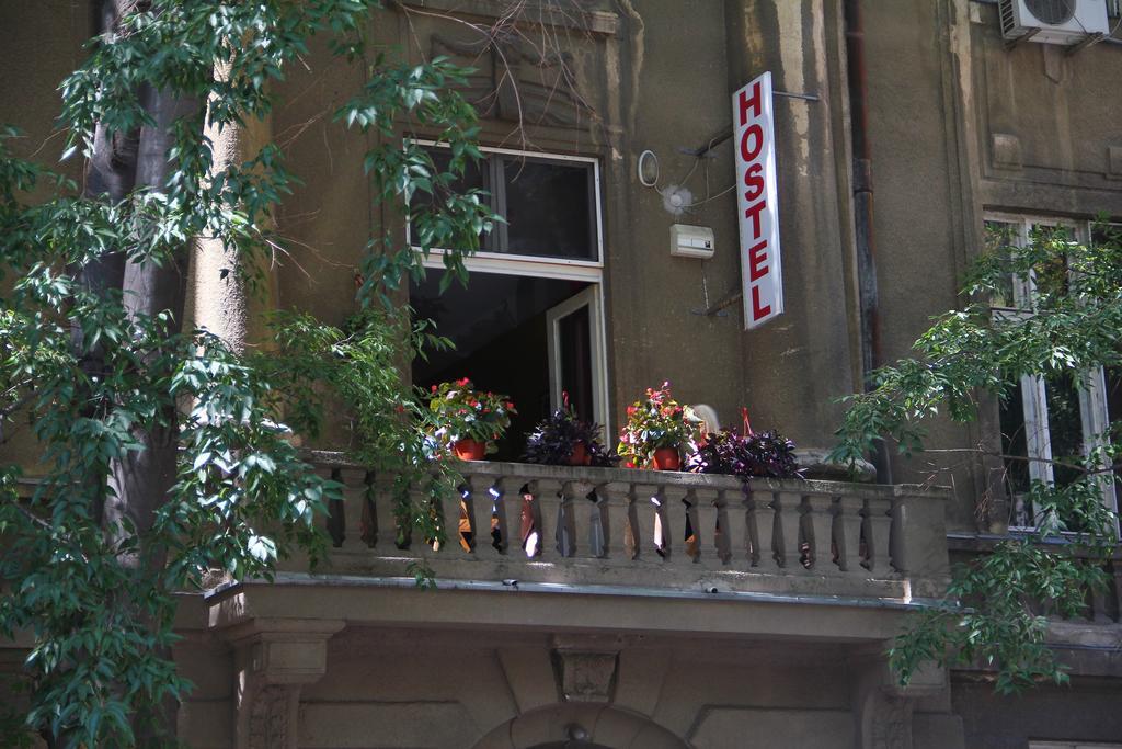 Hostel Sova Novi Sad Esterno foto